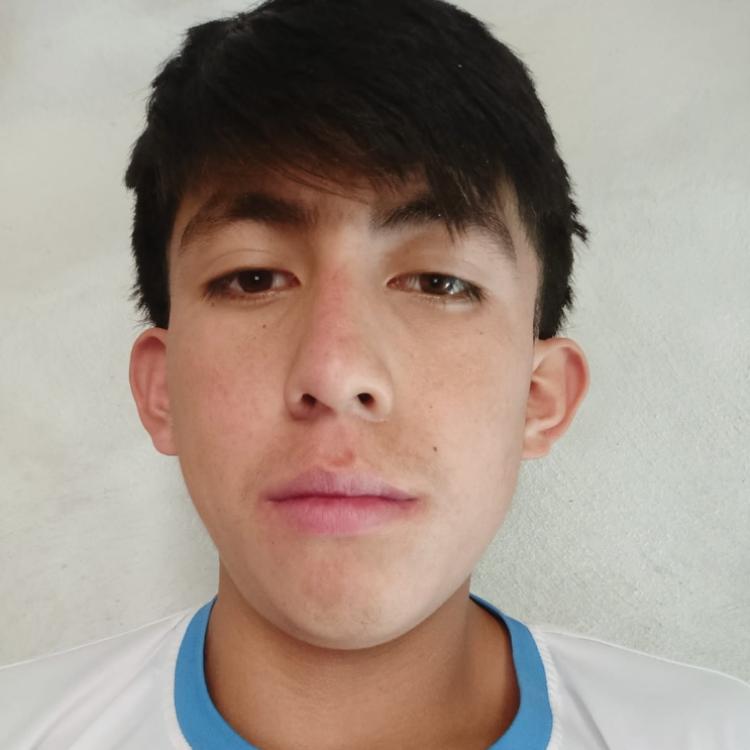 User Image
